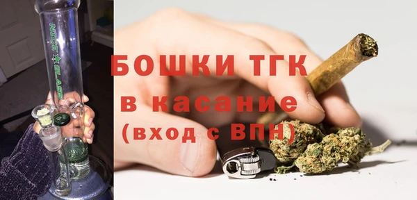 спиды Вяземский