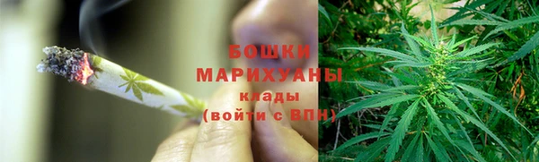 спиды Вяземский