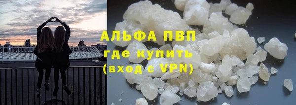 спиды Вяземский