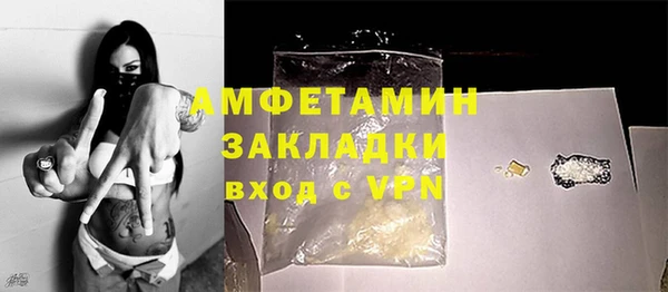 спиды Вяземский