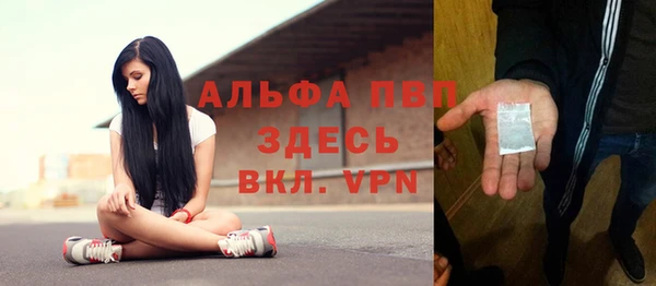 спиды Вяземский