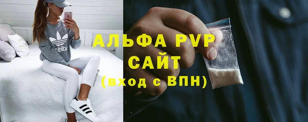 спиды Вяземский