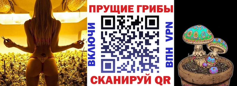 Псилоцибиновые грибы MAGIC MUSHROOMS  Камышин 